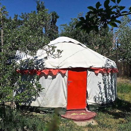 Hotel Arista Yurt Camp Karakoł Pokój zdjęcie