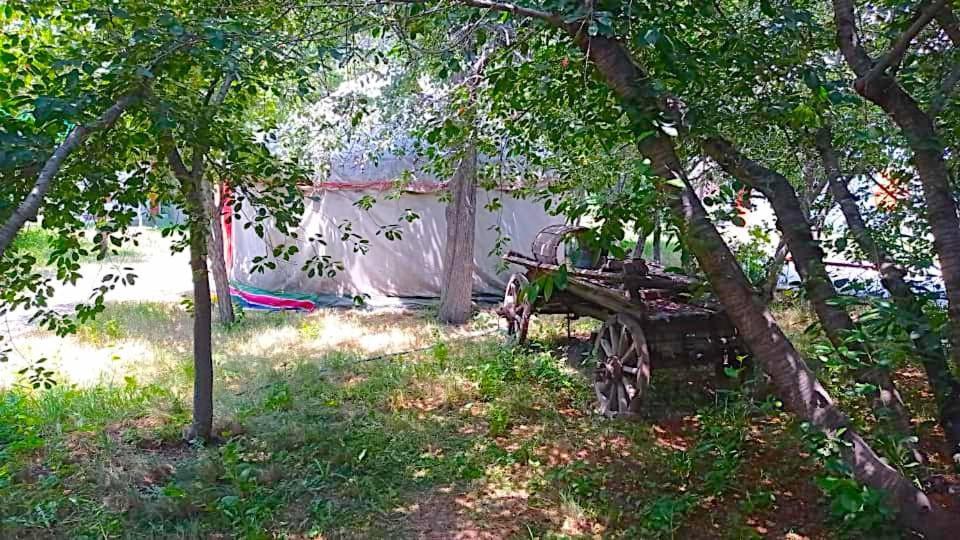 Hotel Arista Yurt Camp Karakoł Zewnętrze zdjęcie